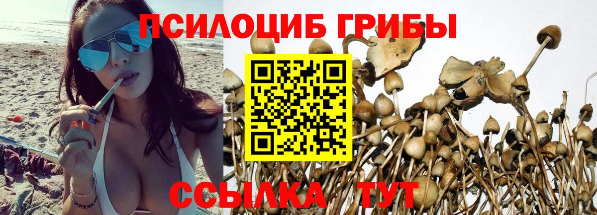 Лосино-Петровский  купить наркоту  Вход с VPN  Галлюциногенные грибы мицелий 